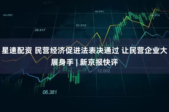 星速配资 民营经济促进法表决通过 让民营企业大展身手 | 新京报快评