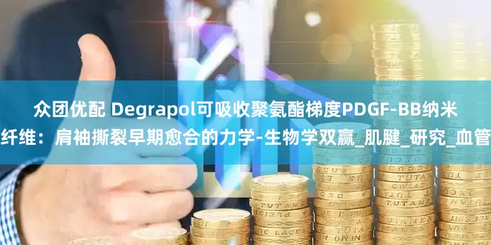 众团优配 Degrapol可吸收聚氨酯梯度PDGF-BB纳米纤维：肩袖撕裂早期愈合的力学-生物学双赢_肌腱_研究_血管
