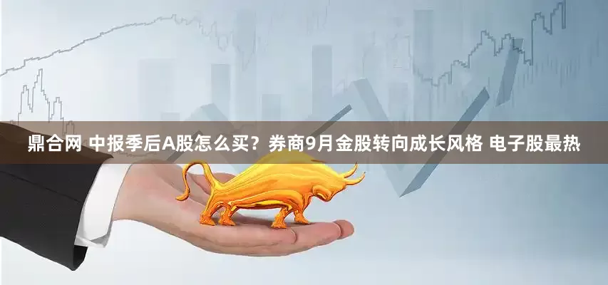 鼎合网 中报季后A股怎么买？券商9月金股转向成长风格 电子股最热
