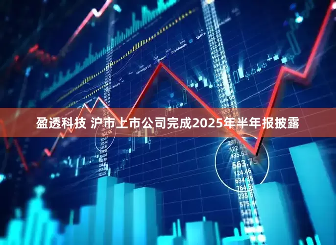盈透科技 沪市上市公司完成2025年半年报披露